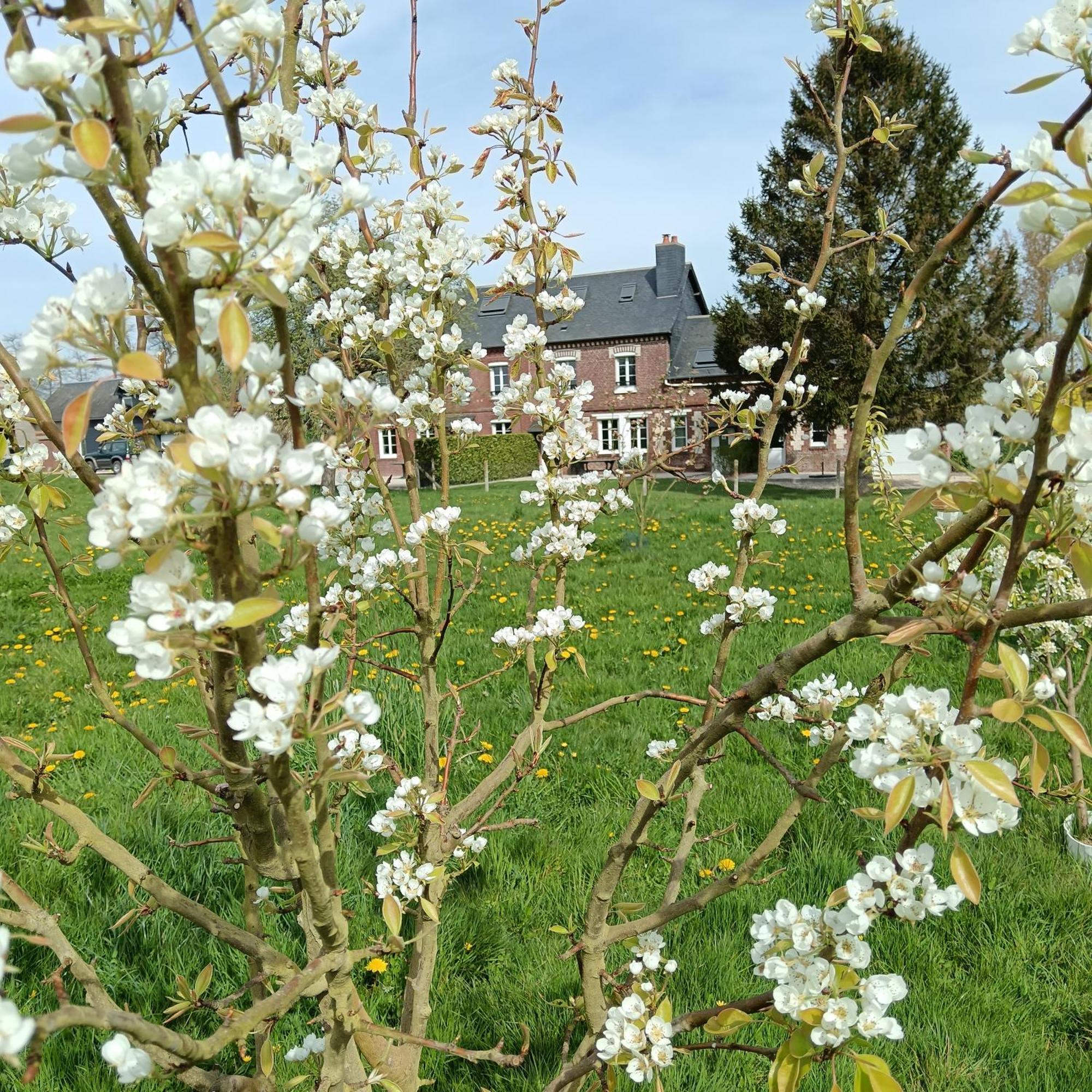 L'Ancienne Forge 3 Chambres D'Hotes A L'Etage La Forge , L'Enclume Et Le Marteau Louvetot ภายนอก รูปภาพ